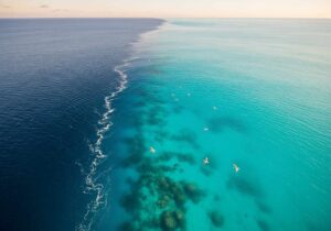 The Blob is Back: Pacific Heatwave Threatens Marine Life